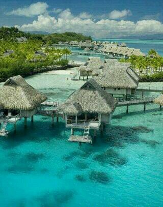 jacmtaz's profile picture. 