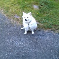 anders karlsson (@hydda46) 's Twitter Profile