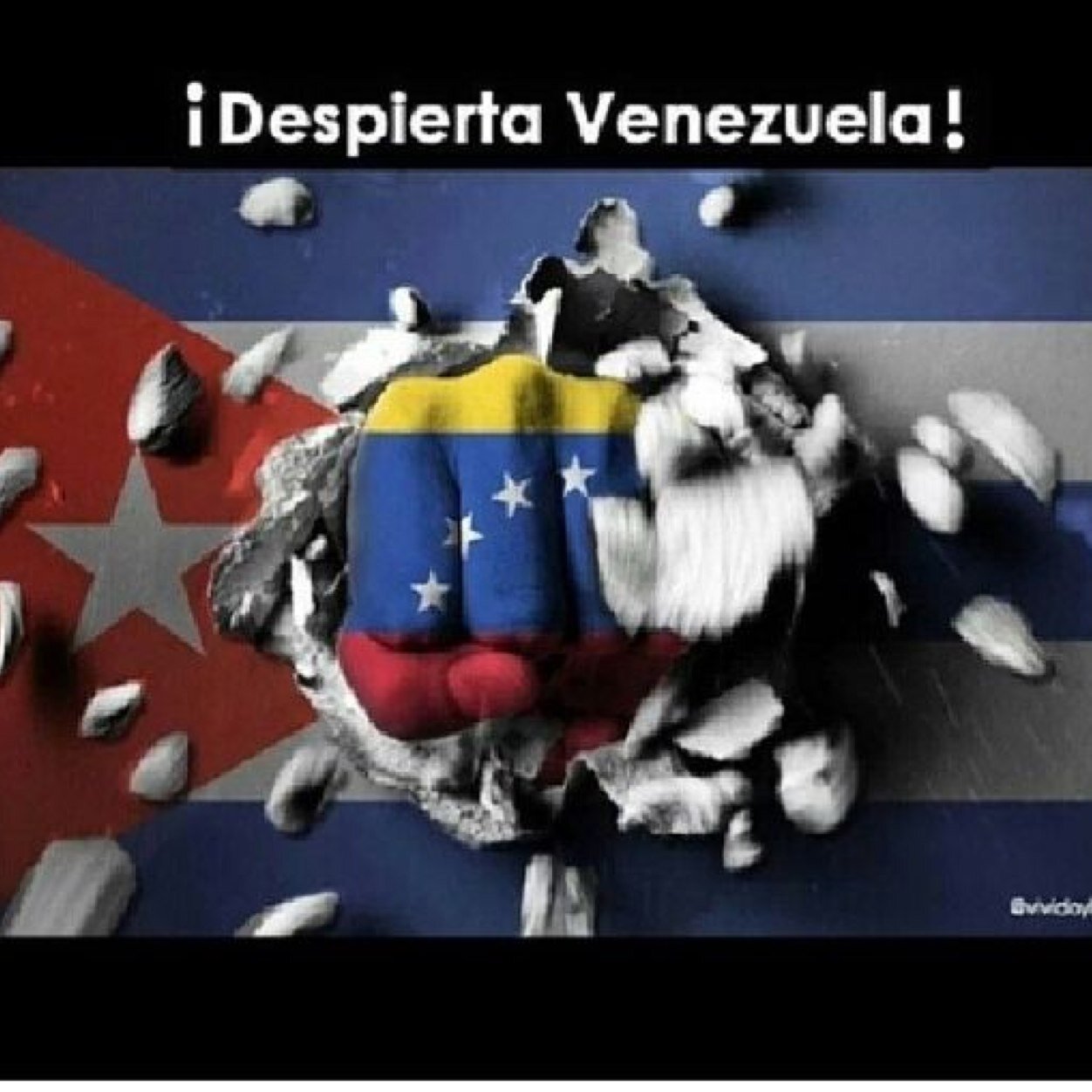 Si tengo que salir, que no sea por Maiquetia, sino por VENEZUELA ! Salgamos a la calle por el futuro de los nuestros, por algo mejor