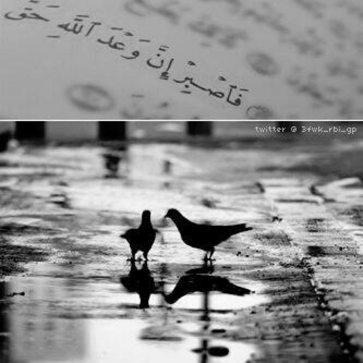 كل مافي الحساب من أدعية وأذكار وإستغفار فهوا صدقة لأبي رحمة الله .