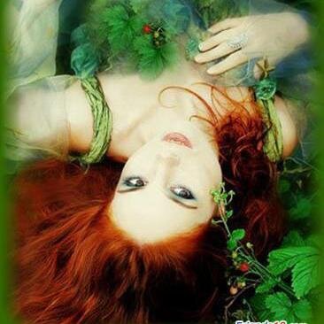 rosaaura2's profile picture. 