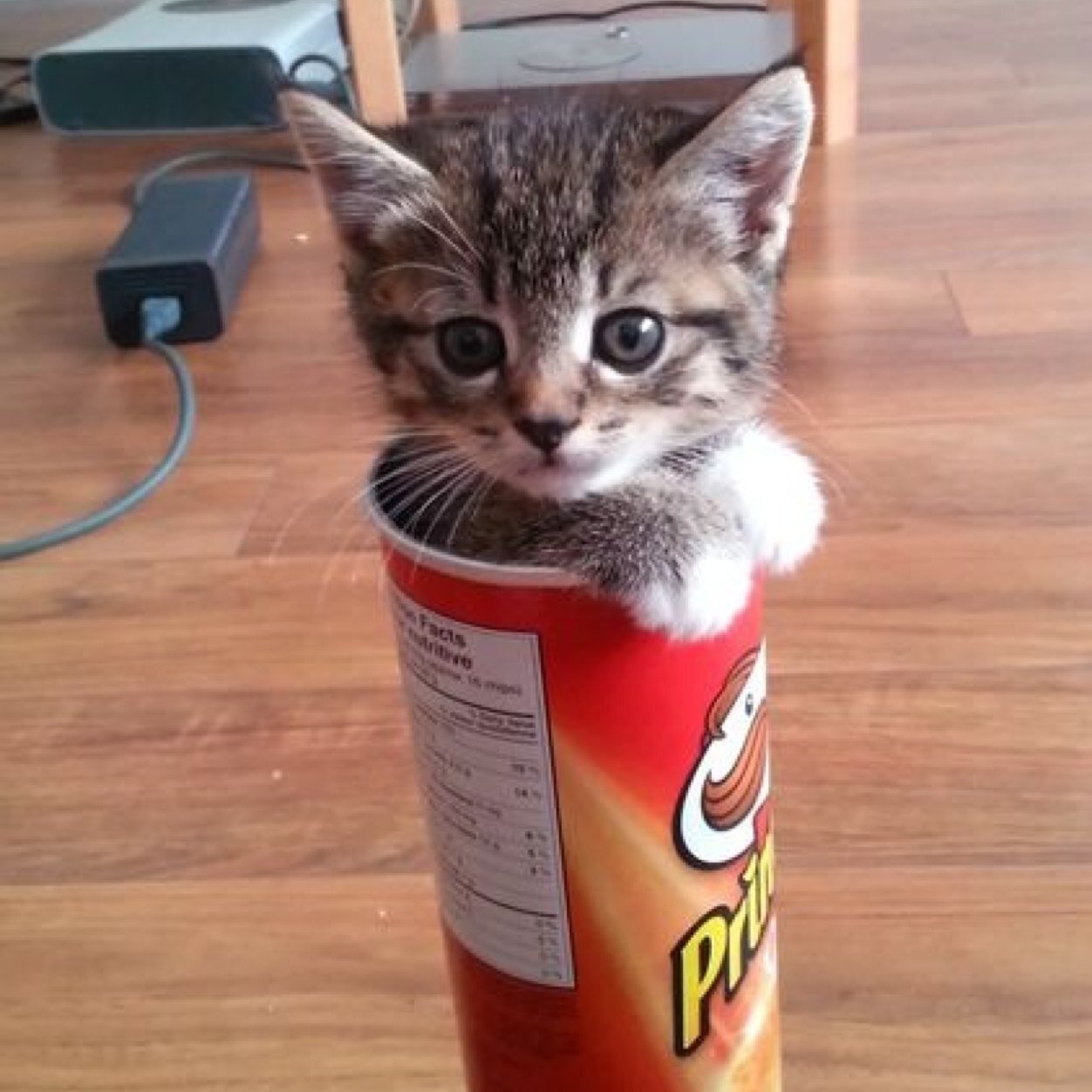 jbliggy's profile picture. 