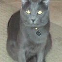 CHASE MURPHY - @chasemurphy18 - Twitter