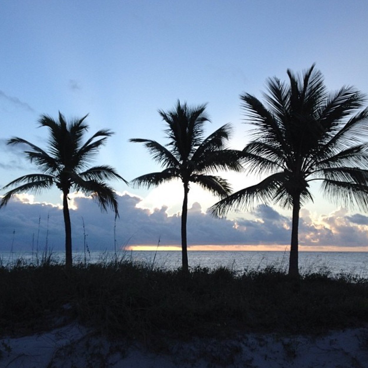 PearlyRogers's profile picture. follow me