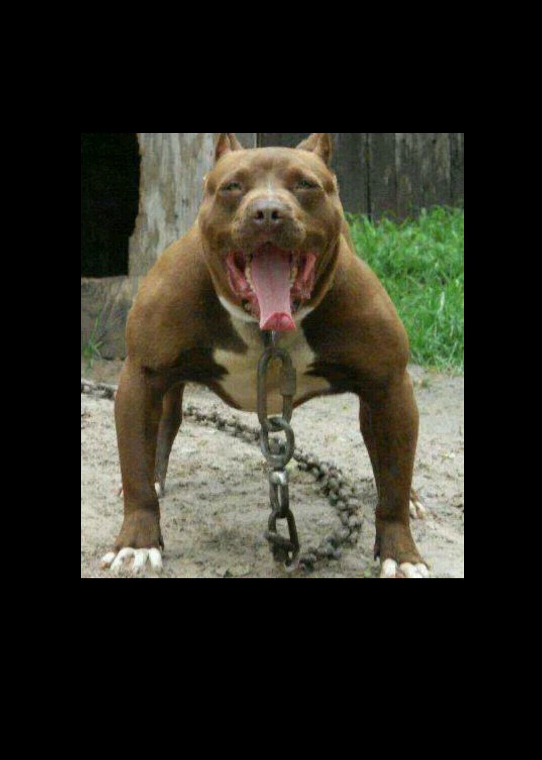 JeromeMitchell9's profile picture. 