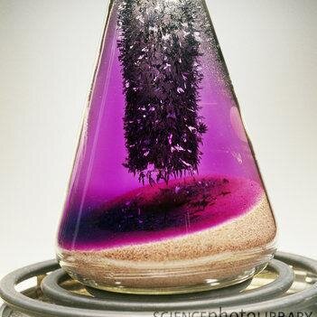 Science Teacher