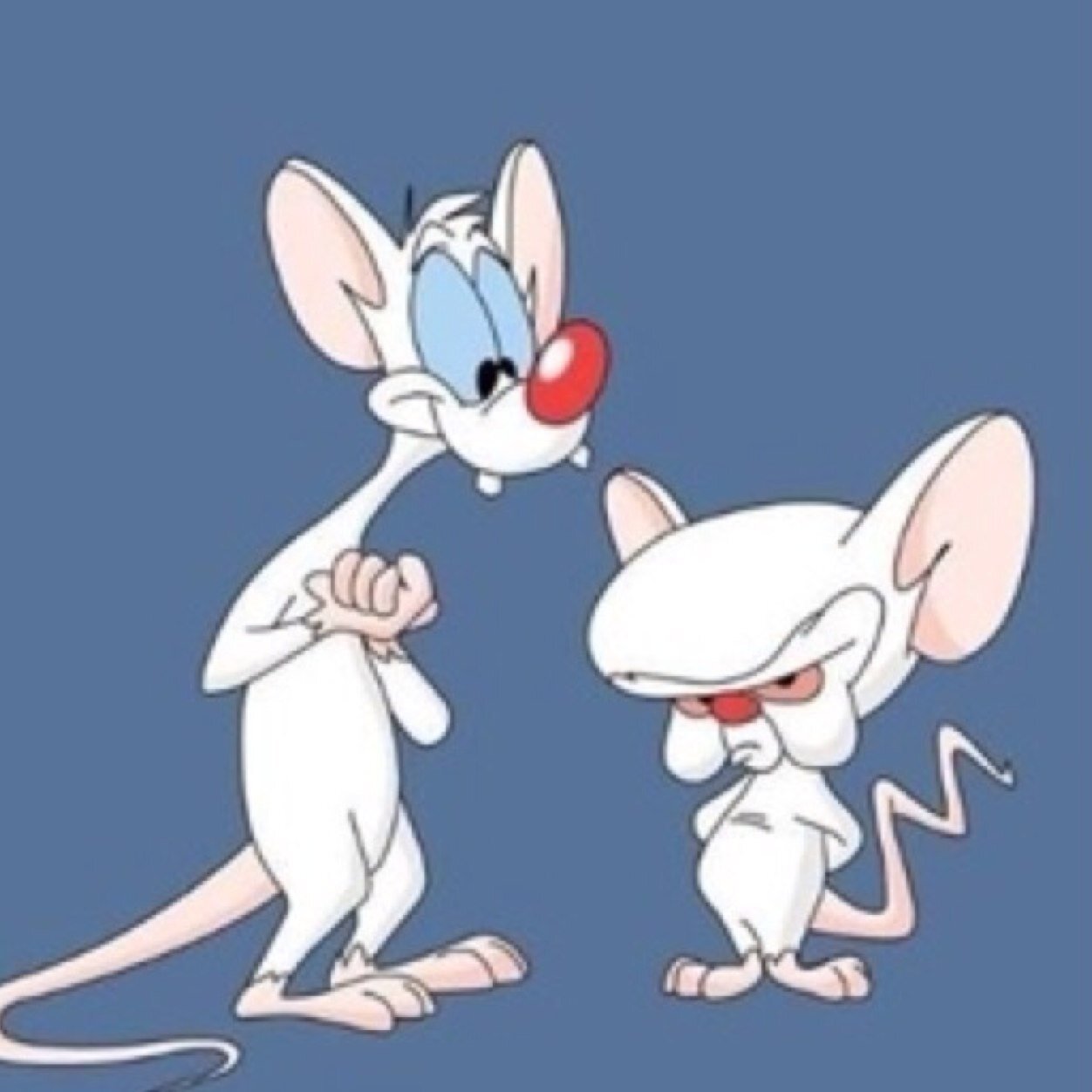 jpickering11's profile picture. 