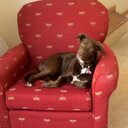 Tracy Sturm - @tracy_sturm - Twitter