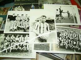 rolipoli67's profile picture. 