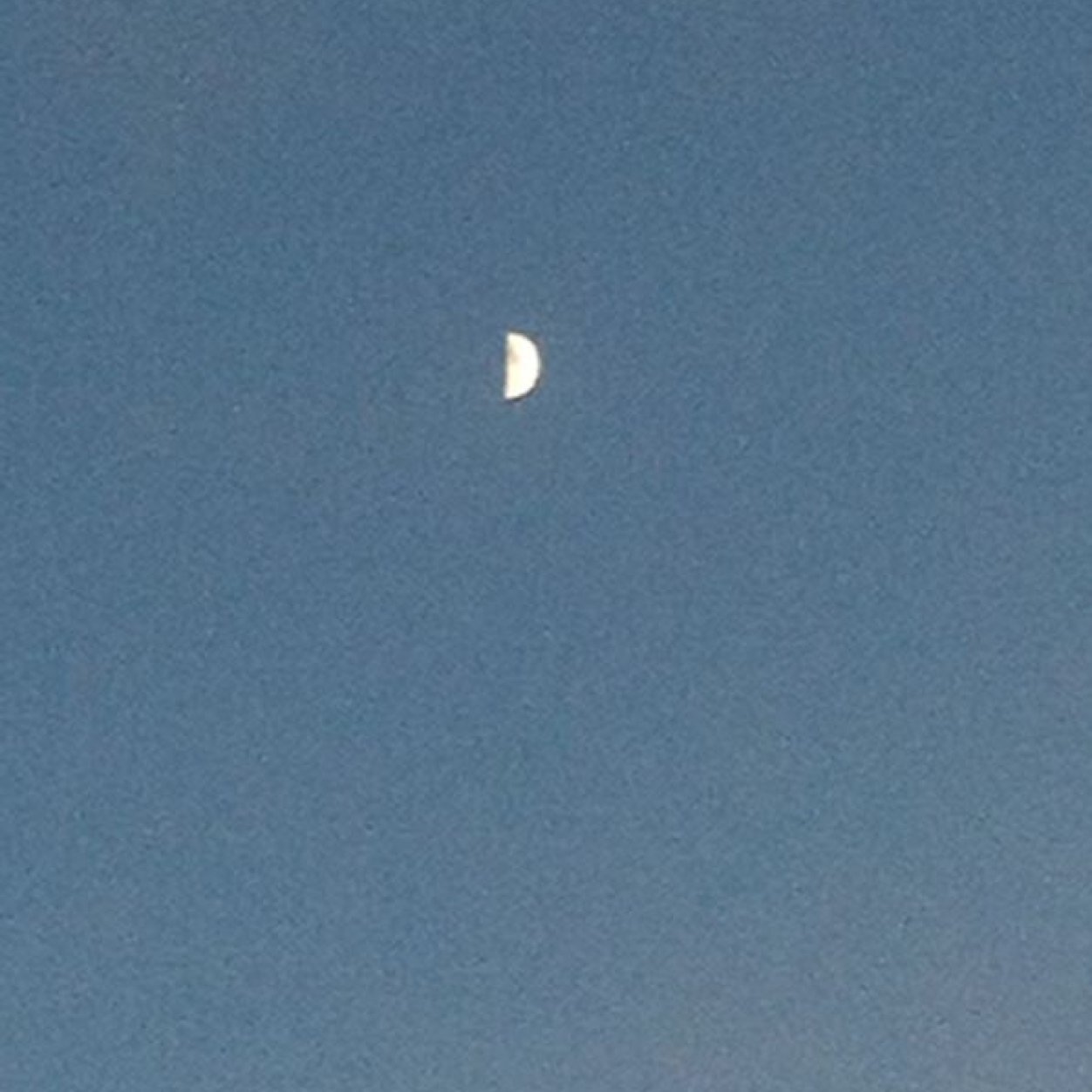 xJessicaAlyssax's profile picture. 