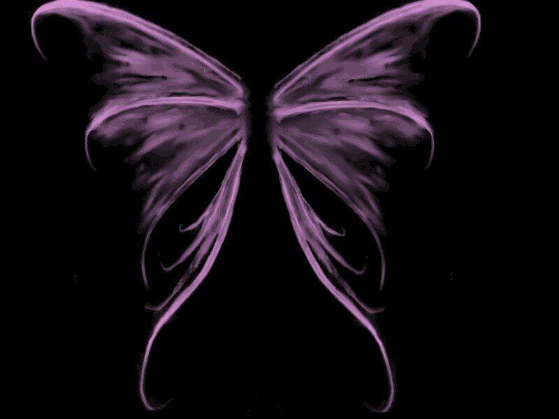 sandstarmel's profile picture. single white female, animal lover, movie lover. Love Norman Reedus and Loki.Followed by SPF on 11/14/2012. Norman Reedus on 11/18/12. Too giddy to type.