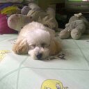 Wendy Rico - @rico_wendyrico4 - Twitter