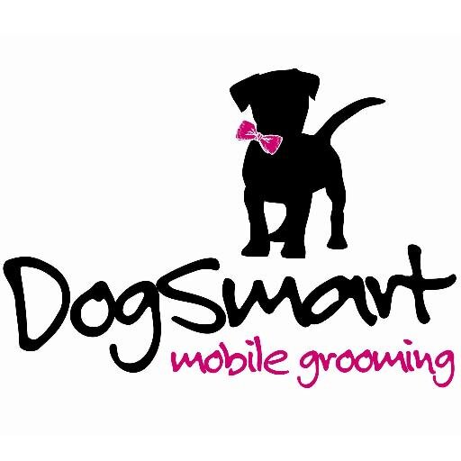DogSmart Mobile Grooming covers Hampton, Teddington, Twickenham, Sunbury and Feltham. Call Helen on 07971 393 489 for an appointment