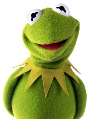 KermitCrypto Profile Picture