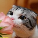 Katie Lindner  - @katie_yourule - Twitter