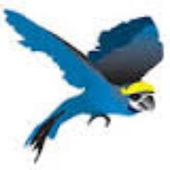Your official account for SHUfly horror stories. Not to be affiliated with Seton Hall. Email: shuflystories@gmail.com