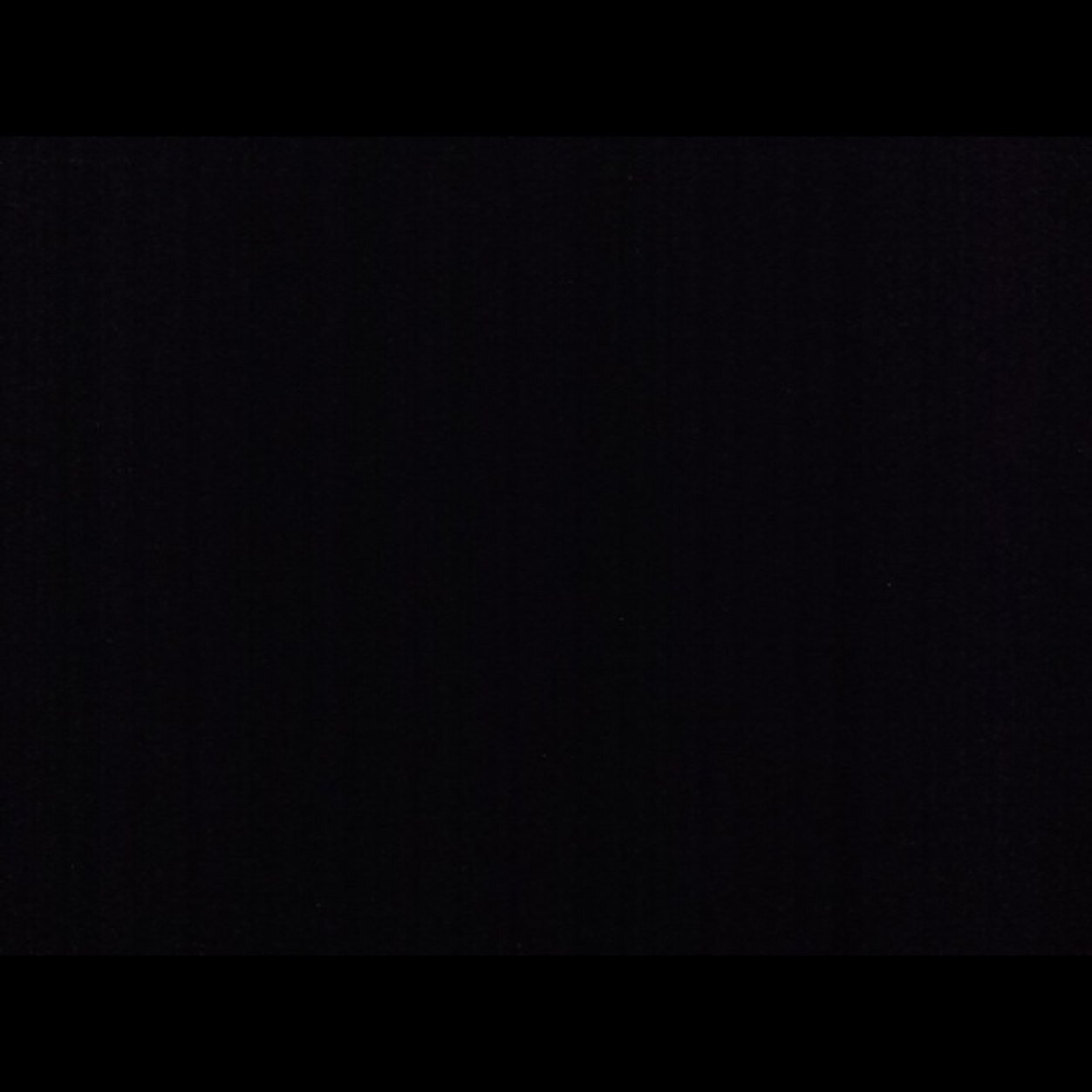 raneen_bourgi's profile picture. 