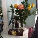 Stefanie Gomez - @Steffigomez47 - Twitter