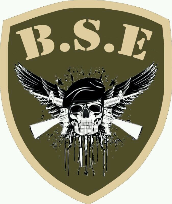 EQUIPO DE AIRSOFT REGISTRADO (MADRID)