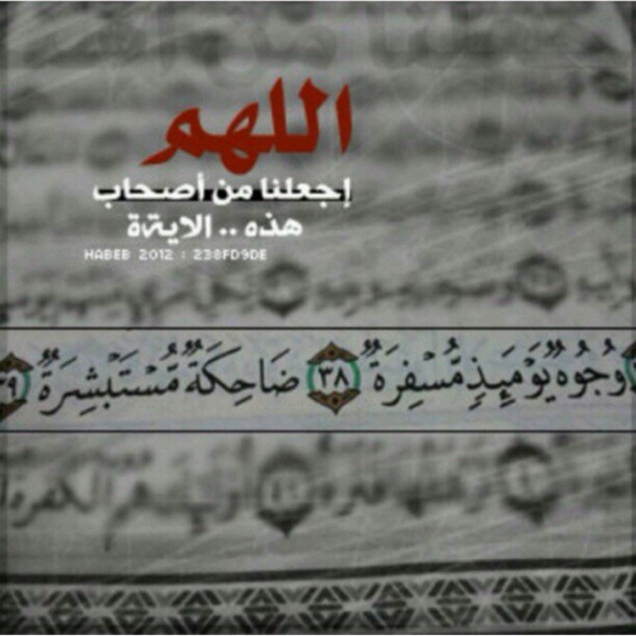 كنت نعمَـۃ في حيآتگ وليتگ گنت من الشآگرين