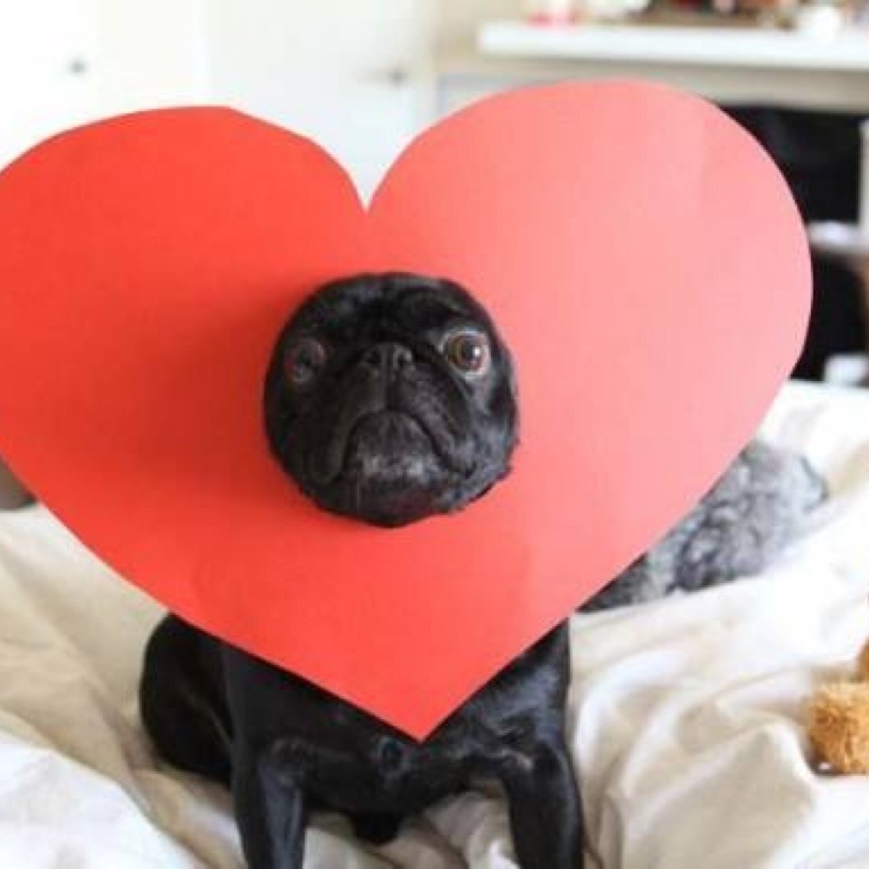 I'm back! Clearing out the old data, starting fresh 🌟
Thank you to all my followers who are still here 💕
I'm on a journey to heal my heart 🌍 Follow me!