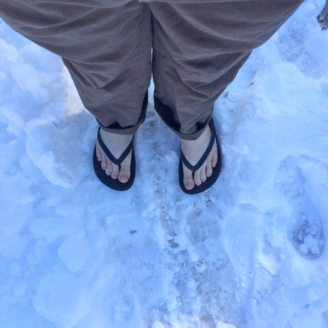 biggiantpm's profile picture. Just another dude hanging around DC.