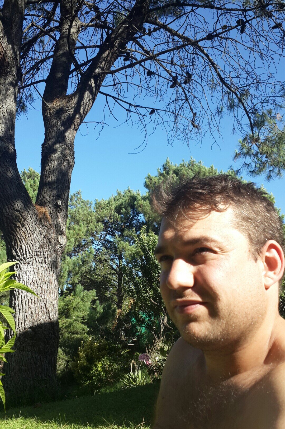 dariosamartino's profile picture. 