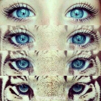 amante del rap, me encantan los tios duros,rubios y ojos azules color favorito azul !!