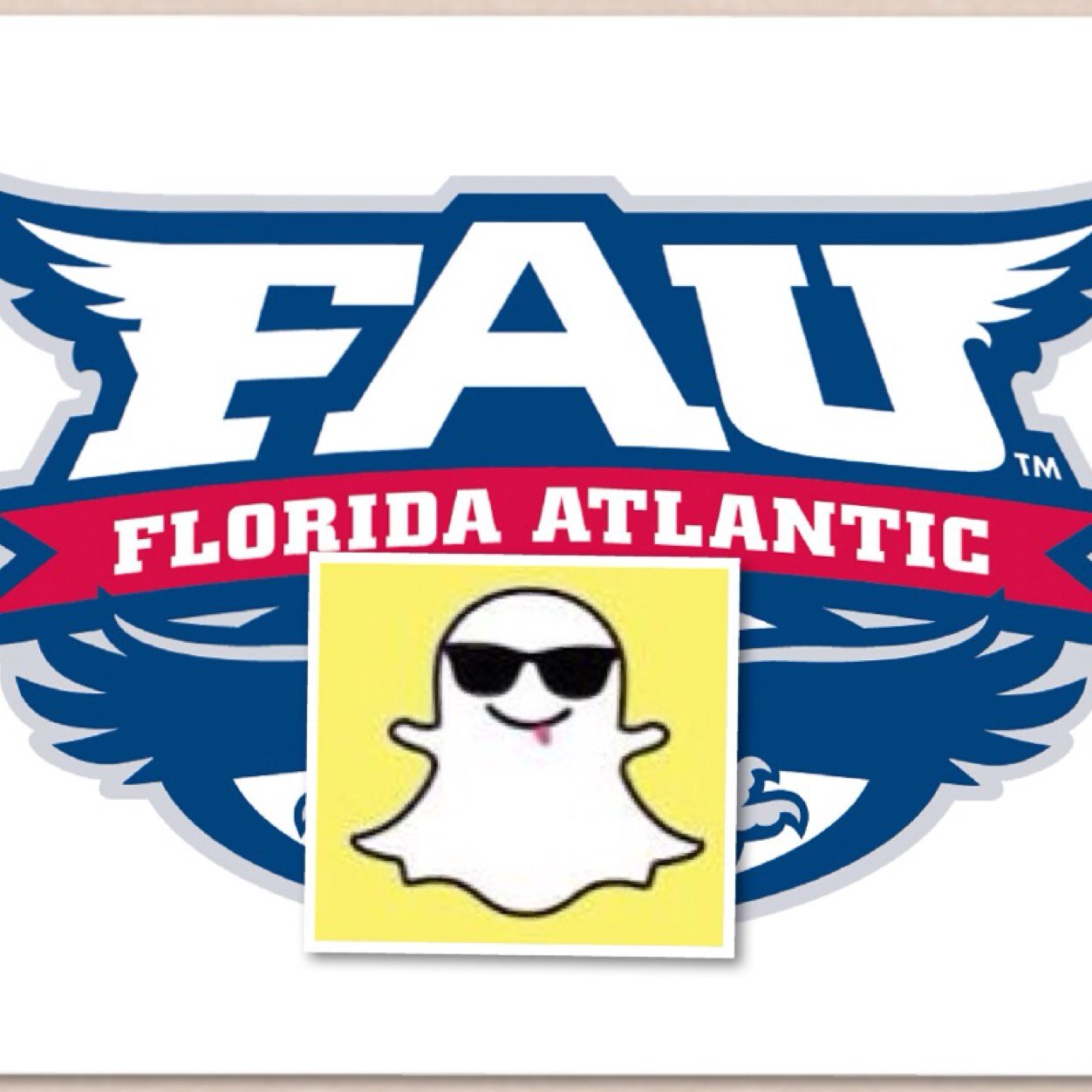 Add us on SnapChat Username : snapsatfau or DM us. 
Send us your fav snaps around FAU.