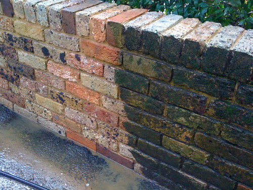 IntegroProjects's profile picture. Integro (in-te-gro) latin: to refresh; to renew. “No fuss”, professional service: 
Graffiti management, Paver cleaning, Gum removal, Building ext. cleaning.