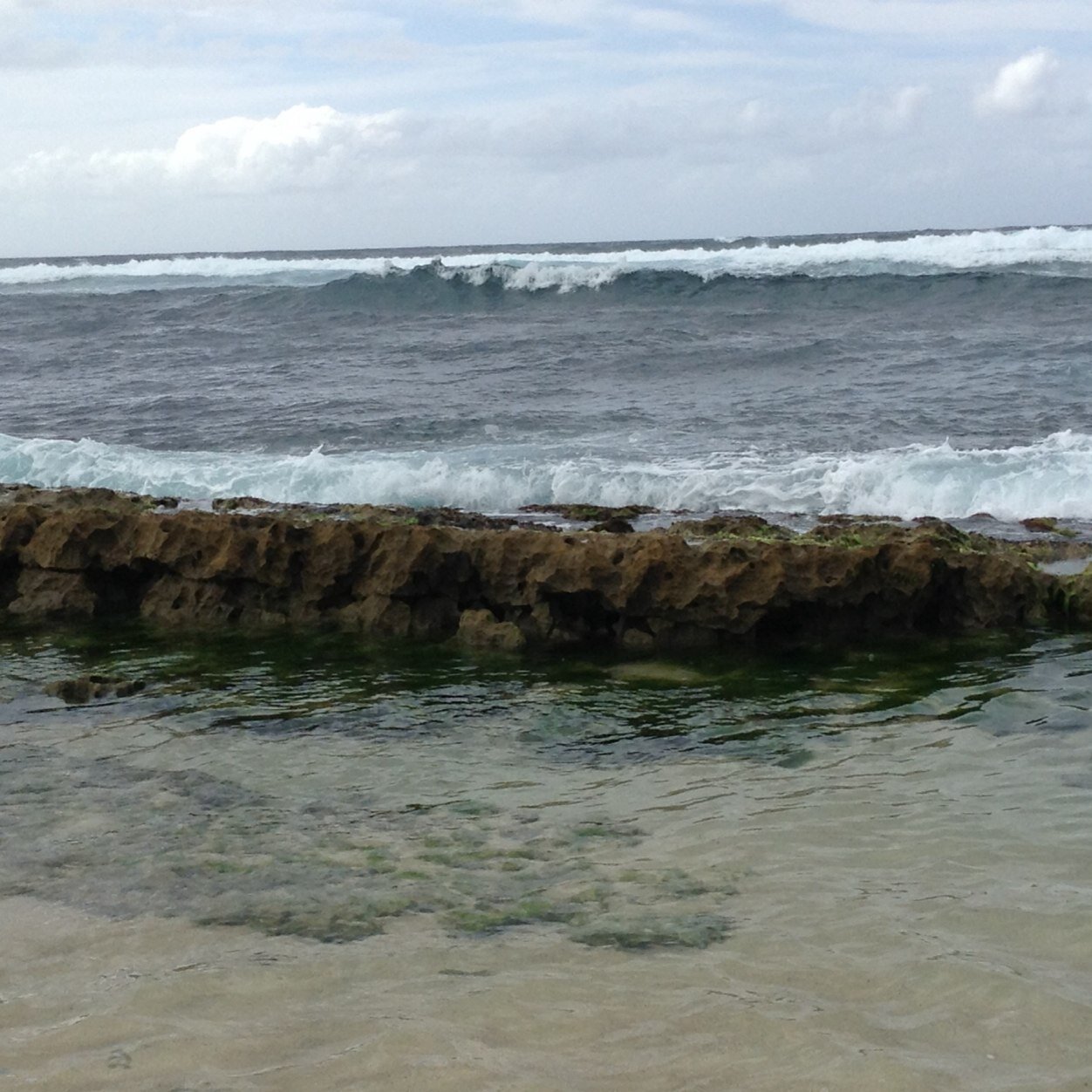 SequentialsSgkf's profile picture. 