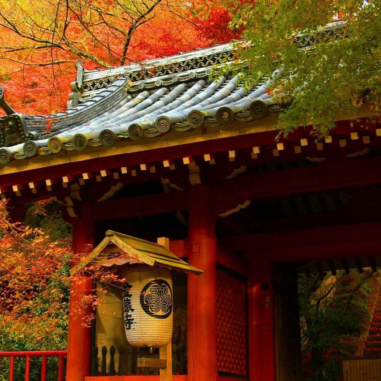 fonseca_tina's profile picture. 