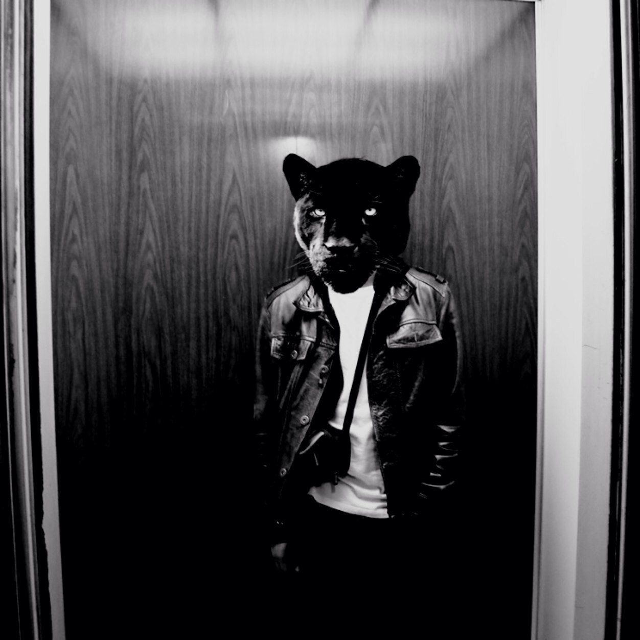 eseAparicio's profile picture. Freaky, frightening but also fascinating.