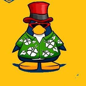 A player from Club Penguin, an owner of a Club Penguin cheat site, Club Penguin fan.