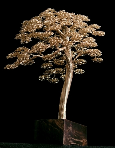 kaitrees's profile picture. Self taught tree maker that likes to sail.
WI