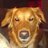 Loreo005's profile image