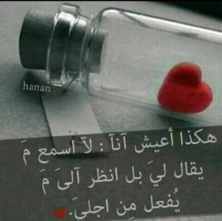 ::::محمد المطرفي:::: مكه المكرمه:::::::::