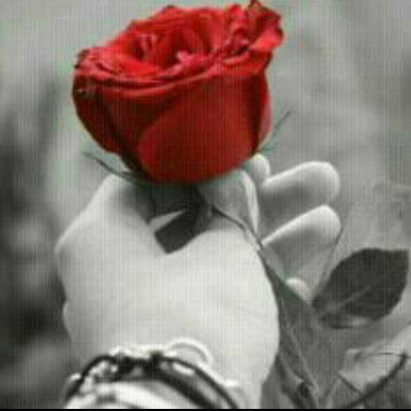 الوفاء عنواني ولن اصغي لمن ينعتني بالخيانه،،،، هذا هو طبعي رغم انفهم‏‏