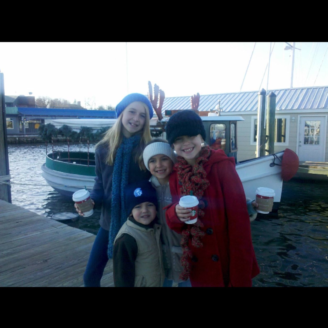 fivefoxesfamily's profile picture. 