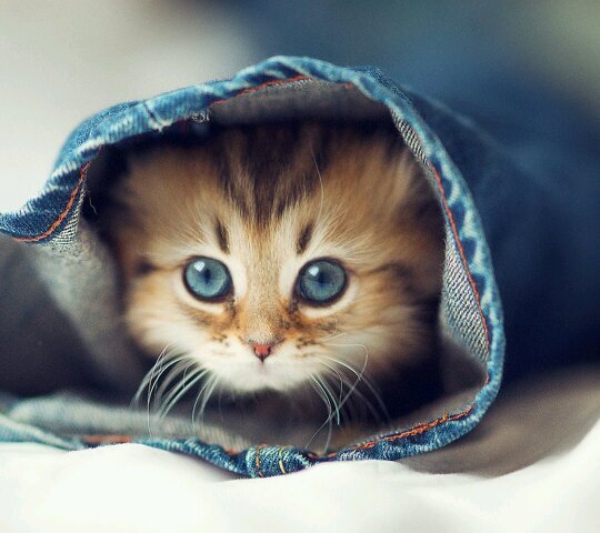 26_deli_27's profile picture. 