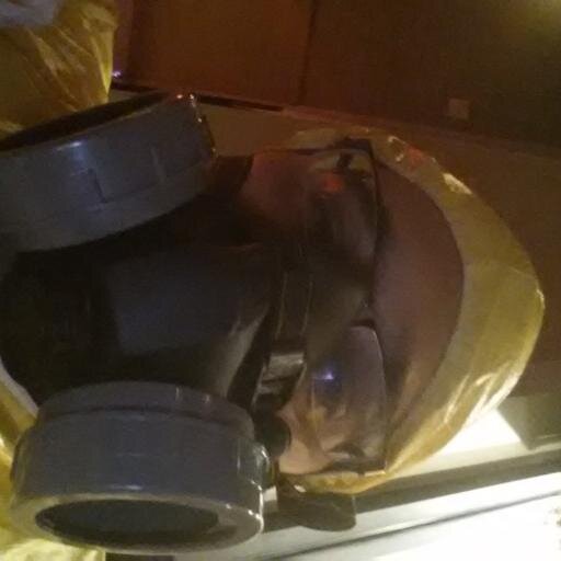 TheNirEast's profile picture. Builder of products & cat robots,the master of all tehini