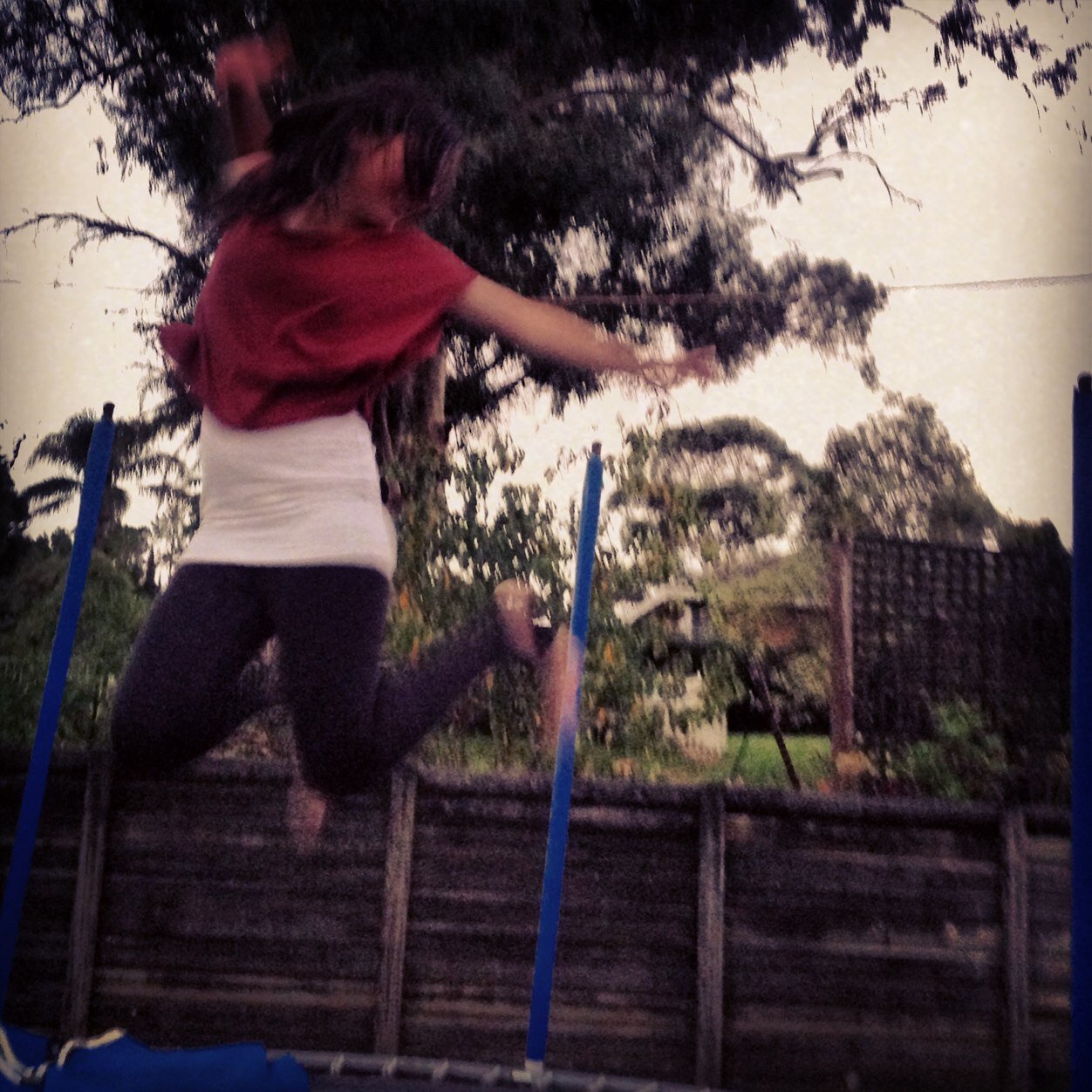 mandyveronicaa's profile picture. The expert in anything was once a beginner!