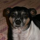 Sheryl Lloyd - @slloyd1265 - Twitter