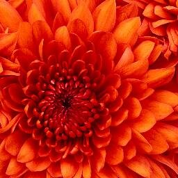 Indah_comate_so's profile picture. 