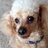 cham515's profile image