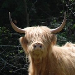 penandplow's profile picture. Western Mass producer of Fruit, veggies, eggs, poultry and meat raised without synthetic pesticides or chemical fertilizers. Unique heirloom varieties.