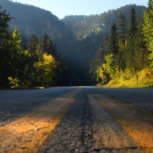 pd2lrn's profile picture. 