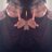 S_nisaa1's profile image