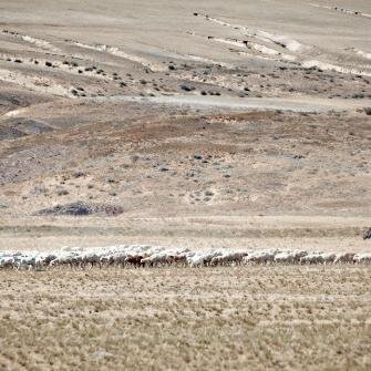 http://t.co/RvntKqEmo2 on Mongolia