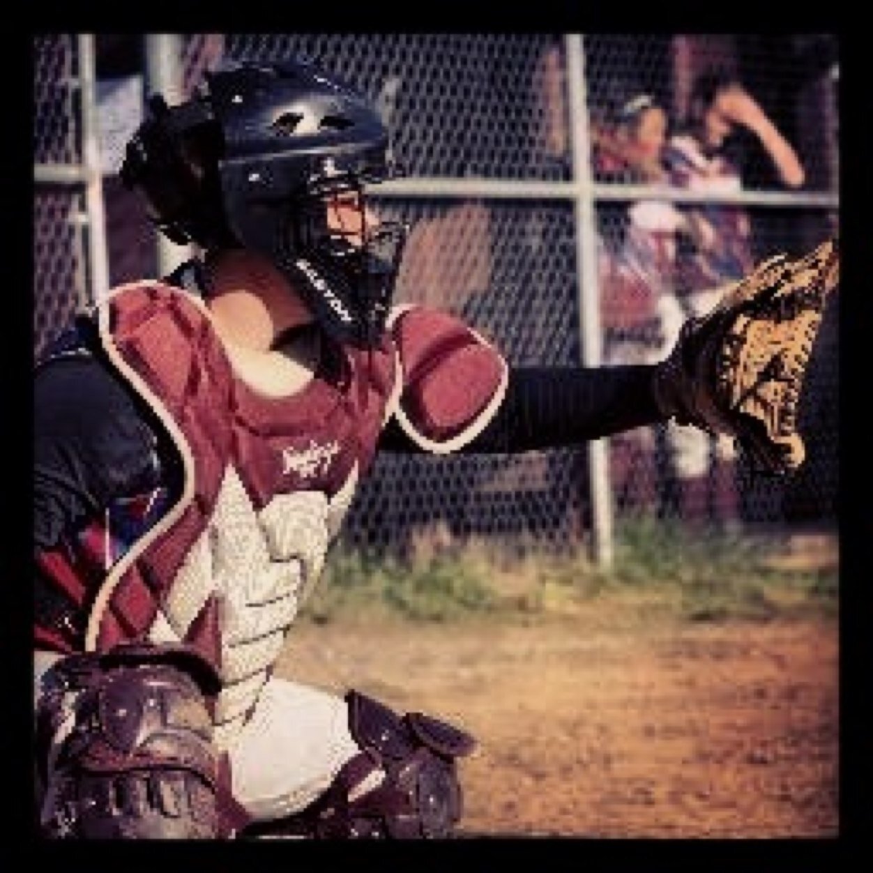 i_catch_bish's profile picture. Catcher• Avi is actually me• follow for follow! ✊
